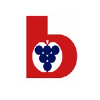 Südtiroler Beratungsring für Obst- und Weinbau logo - Similar company to Fruittorg
