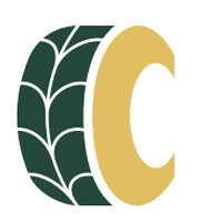 CARWINS Car Rental logo - Similar company to Car Bar