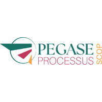 PEGASE processus logo - Similar company to Forsyfa
