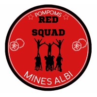 Club Pompoms IMT Mines Albi 🏅 logo - Similar company to Visit Maia