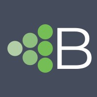 Brightmerge logo - Similar company to Agathae Experiences