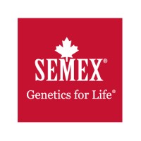 Semex Deutschland GmbH logo - Similar company to Addicoo Group S.R.O.