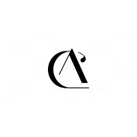 CHAUHAN & ASSOCIATES logo - Similar company to Travone Holidays