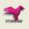 imarrae logo - Similar company to Vow Developments