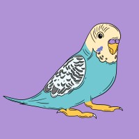 Parakeet logo - Similar company to Topmast | Open Source