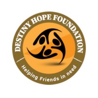 Destiny Hope Foundation logo - Similar company to Premier Modular Nederland