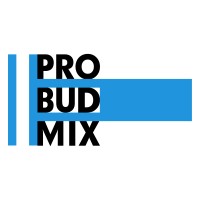 PROBUDMIX logo - Similar company to Mostovia