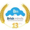 Briskminds logo - Similar company to Metacube Software Pvt Ltd
