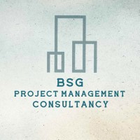 BSG Commercial Solutions logo - Similar company to Real Plan Consulting