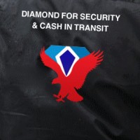 Diamond for security logo - Similar company to 2B Panzer Llc
