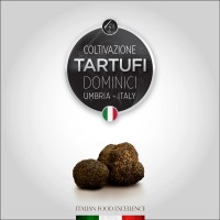 Dominici Tartufi logo - Similar company to Sipsty