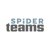 Spider Teams, Llc
