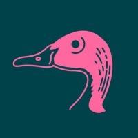 Pink Headed Duck Coffee