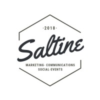 Saltine Communications logo - Similar company to Bigit