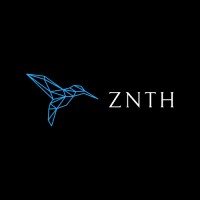 ZNTH LLC logo - Similar company to Nits Service Pvt. Ltd.