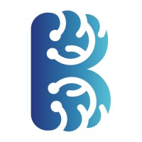 Bluebrain Software logo - Similar company to Codesure Software Solutions Pvt Ltd