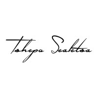 Tshepo Sealetsa Official logo - Similar company to Moremi Space Africa