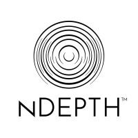 nDepth Consulting LLC logo - Similar company to Gvo, Llc