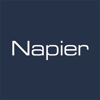 Napier Partnership Limited logo - Similar company to Talking Stick Digital