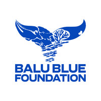 Balu Blue Foundation logo - Similar company to Ocean Imaging