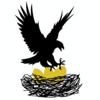 Aerie Investments LLC logo - Similar company to At Cost Metals Affiliate Tim Mcfatridge
