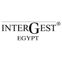 InterGest Egypt logo - Similar company to Export Solutions Egypt