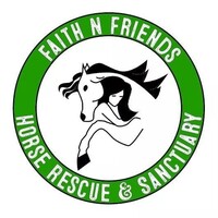 Faith N Friends Horse Rescue & Sanctuary