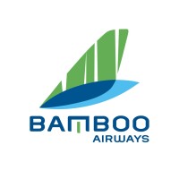 Talent Bamboo Airways logo - Similar company to Pacific Airlines
