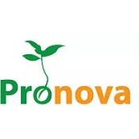 Pronova Araucanía: Consultores Y Otec