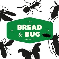 Projeto Bread&Bug logo - Similar company to Ópera Dados