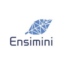 Ensimini logo - Similar company to Jigsaw
