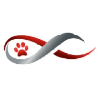 DVM Focus logo - Similar company to Caliber, Inc.