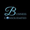 BUSINESS CONSOLIDATED logo - Similar company to Fish On Spot