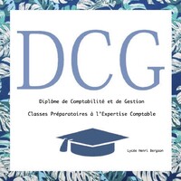 Diplôme de Comptabilité et de Gestion (DCG) logo - Similar company to Apdcg - Association Des Professeurs Des Diplômes De Comptabilité Et De Gestion