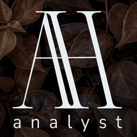 Tilitoimisto AH Analyst logo - Similar company to Winify