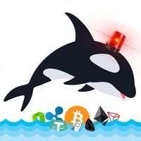 Whale Alert logo - Similar company to Cytreex