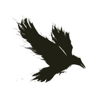 RavenTek logo - Similar company to Adara Development