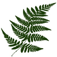 The Ferncliff Law Office PLLC logo - Similar company to Toaccompany