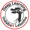 Deep Learning IndabaX Lesotho logo - Similar company to Google Developers Group-Maseru
