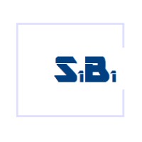 S1B1