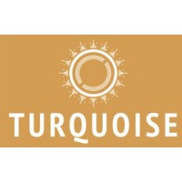 Stichting Turquoise logo - Similar company to Ditp