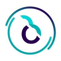 Infoxen logo - Similar company to Sapsons