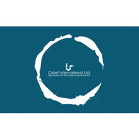 Cobef International Limited logo - Similar company to Leapsoft Ltd