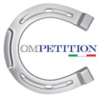 Competition Srl logo - Similar company to Itrack