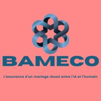 BAMECO logo - Similar company to Netrex Internet Solutions