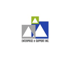 Enterprise e-Support, Inc. logo - Similar company to Digital Fast Forward (Dff)