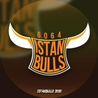 İstanBulls Robotic Team 6064 logo - Similar company to Robottechnic - Master Of Robotic Integration