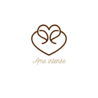 Ame Intense logo - Similar company to Hook And Slice