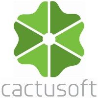 Cactusoft logo - Similar company to Cactusoft Construction