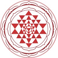 Adiraj Global (P) Limited logo - Similar company to Dye Dream